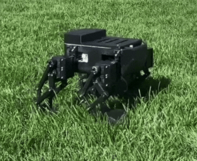 Parallel-driven quadruped